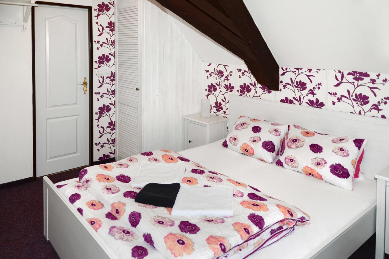Hotel Jiricna Сушице Экстерьер фото